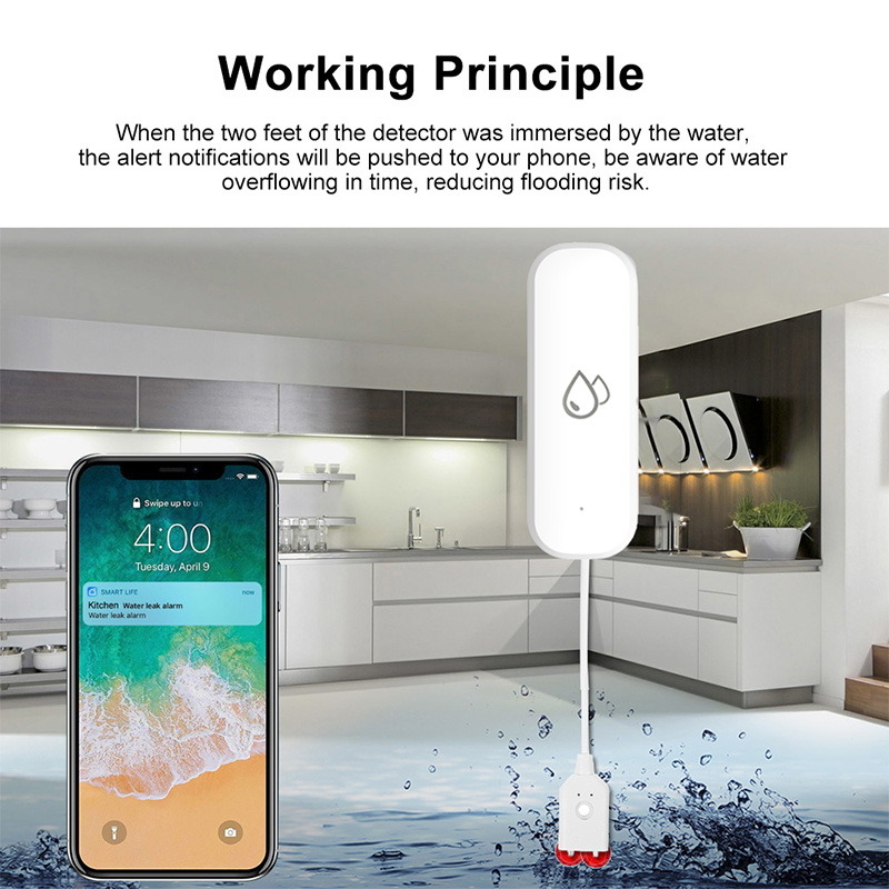 جهاز إنذار تسرب المياه الذكي م - مراجعة Smart Home Wiz وسعره